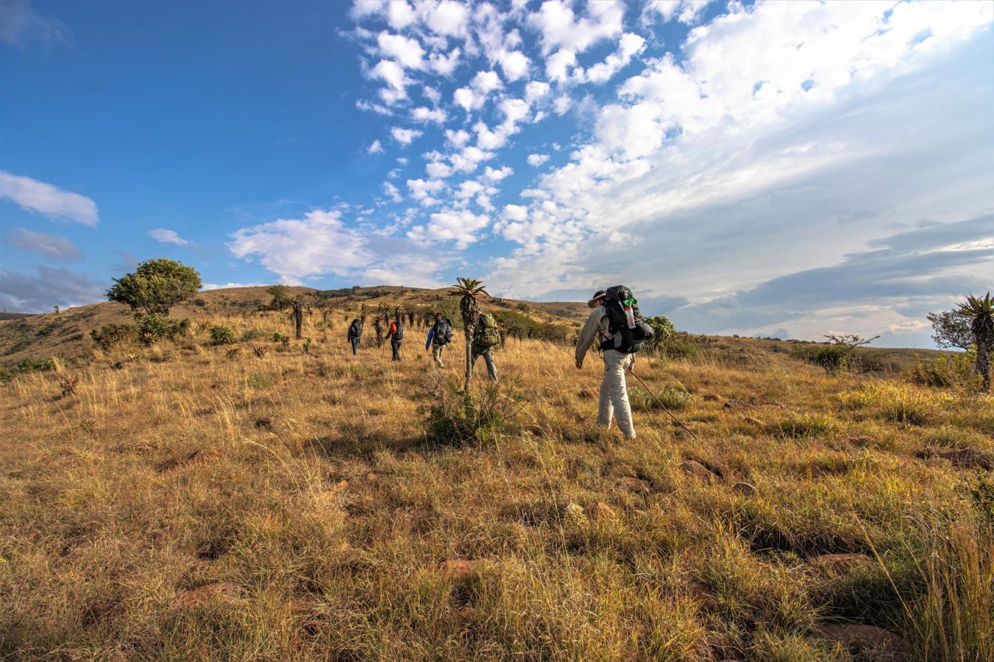 Valley Lodge - Babanango Game Reserve ダンディー エクステリア 写真