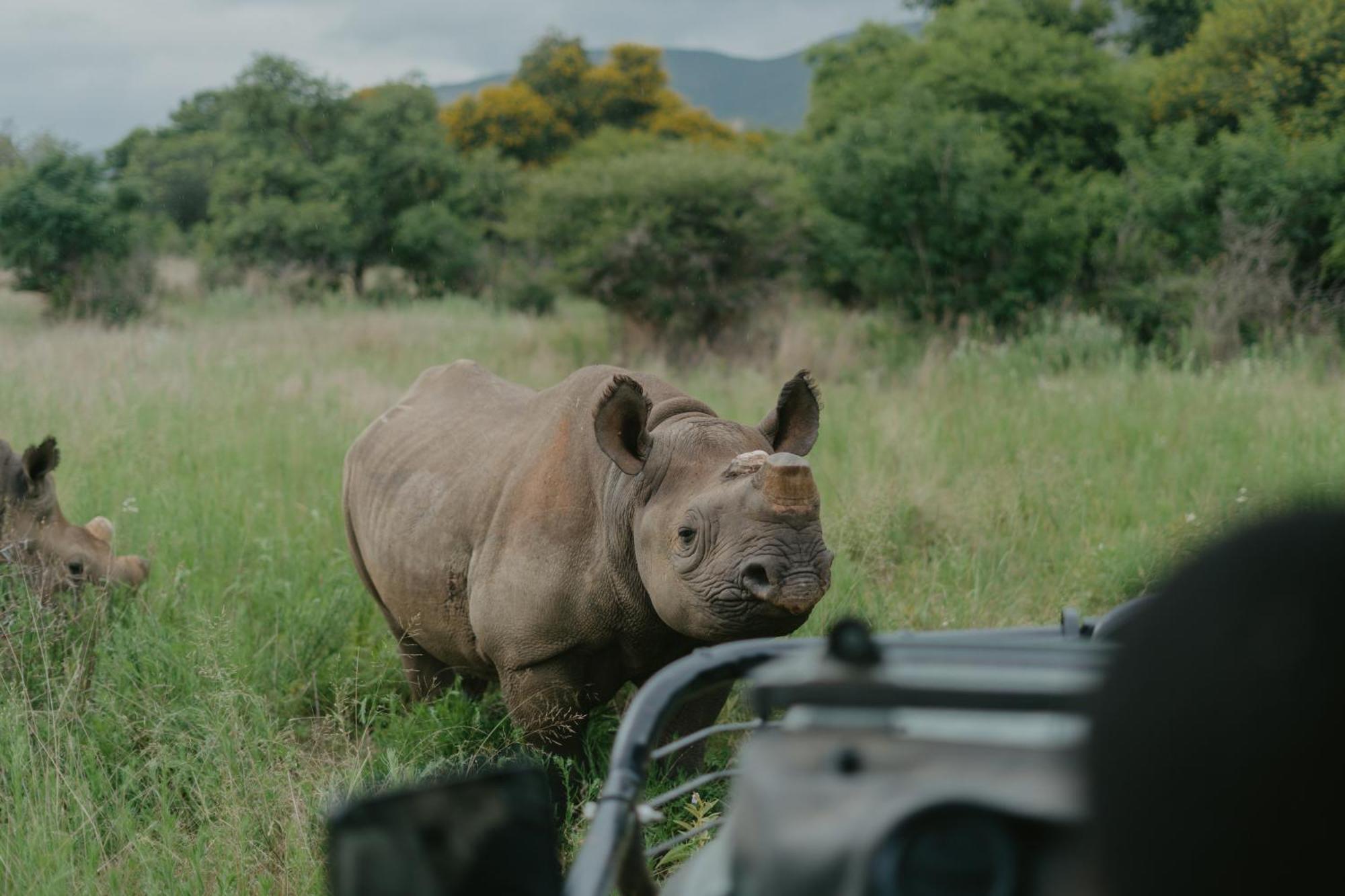 Valley Lodge - Babanango Game Reserve ダンディー エクステリア 写真