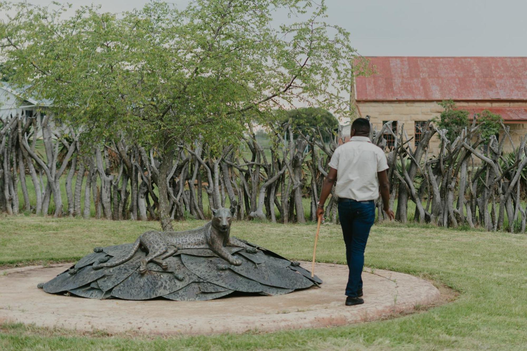 Valley Lodge - Babanango Game Reserve ダンディー エクステリア 写真