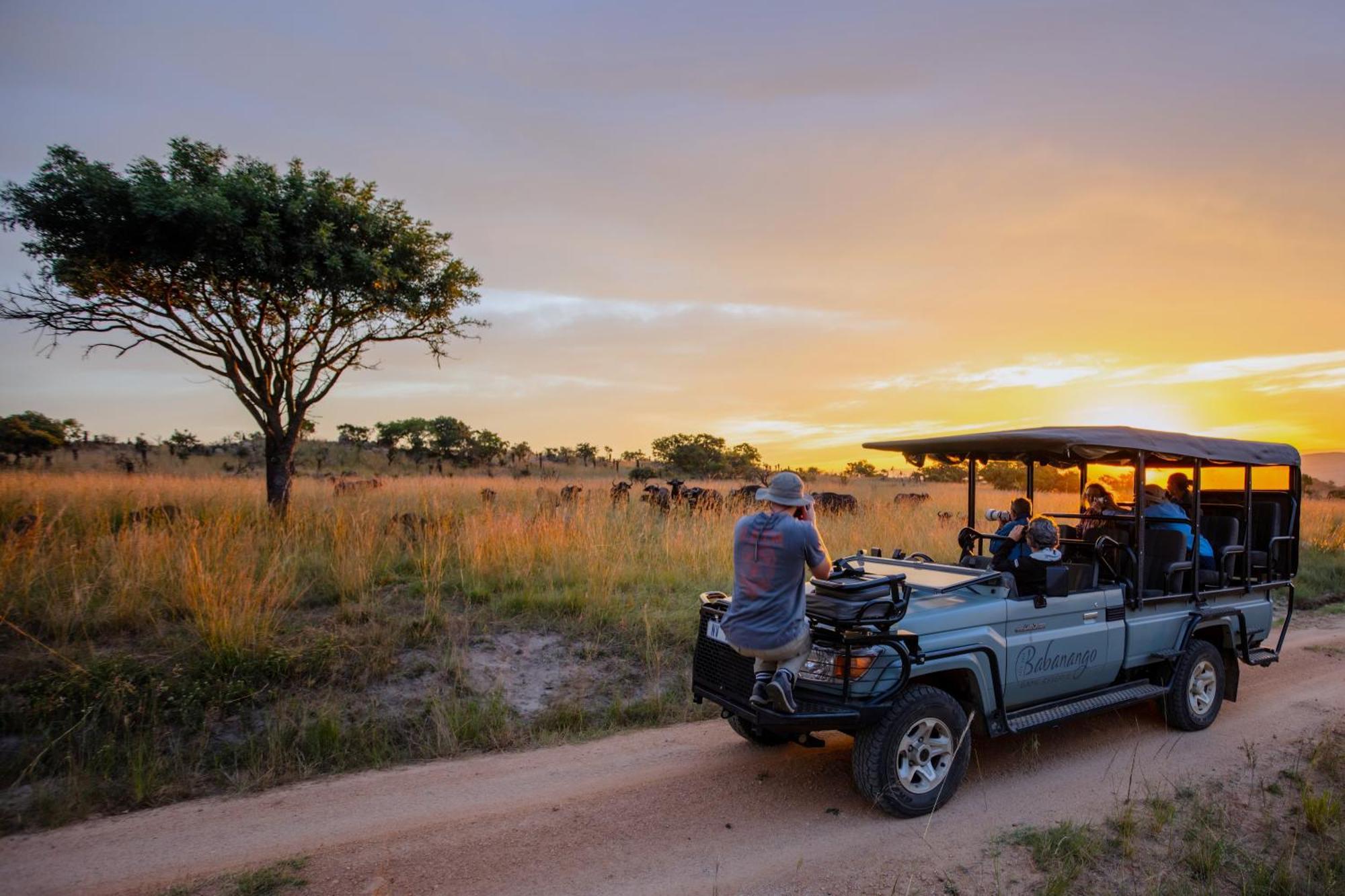 Valley Lodge - Babanango Game Reserve ダンディー エクステリア 写真