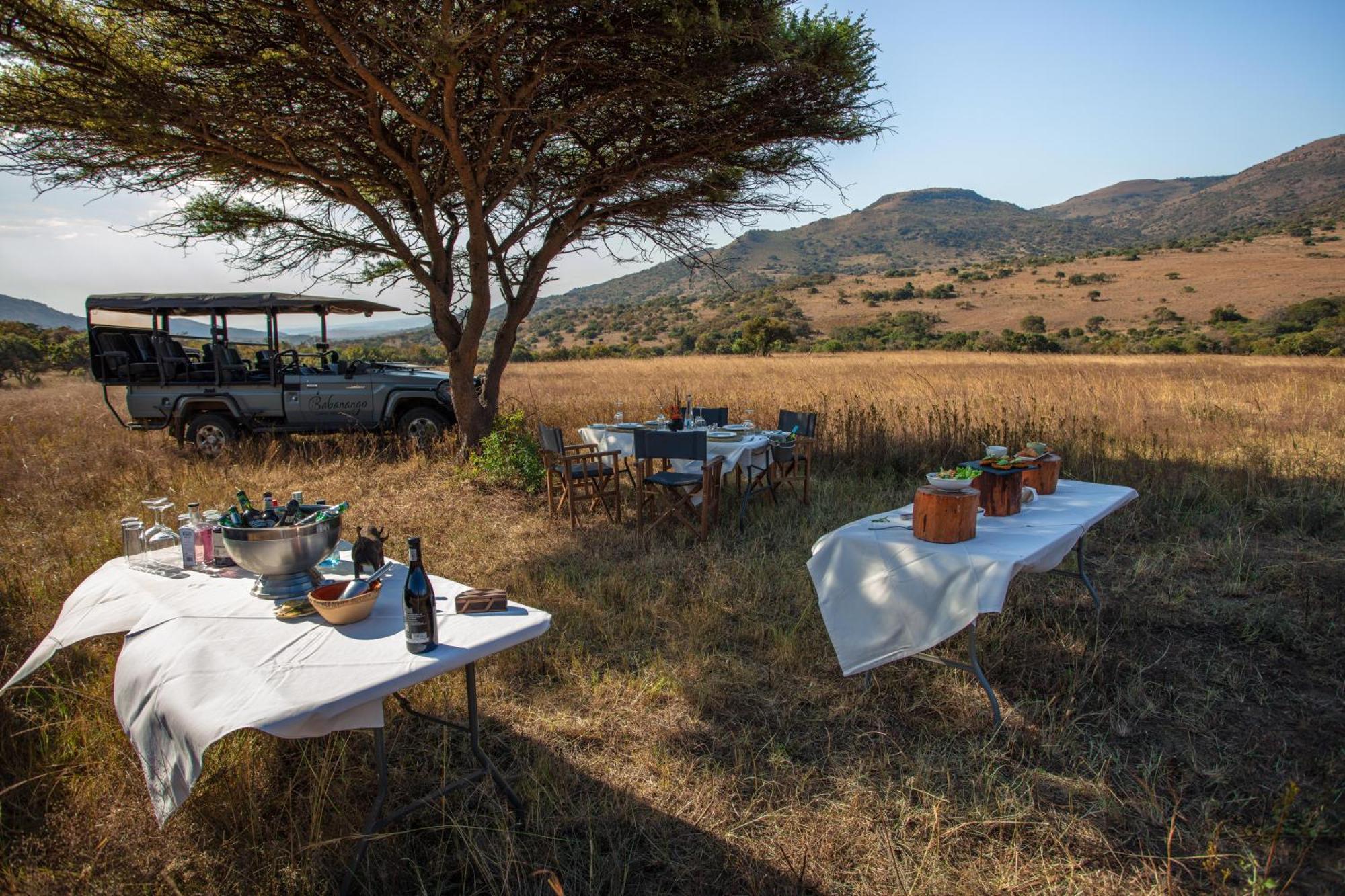 Valley Lodge - Babanango Game Reserve ダンディー エクステリア 写真