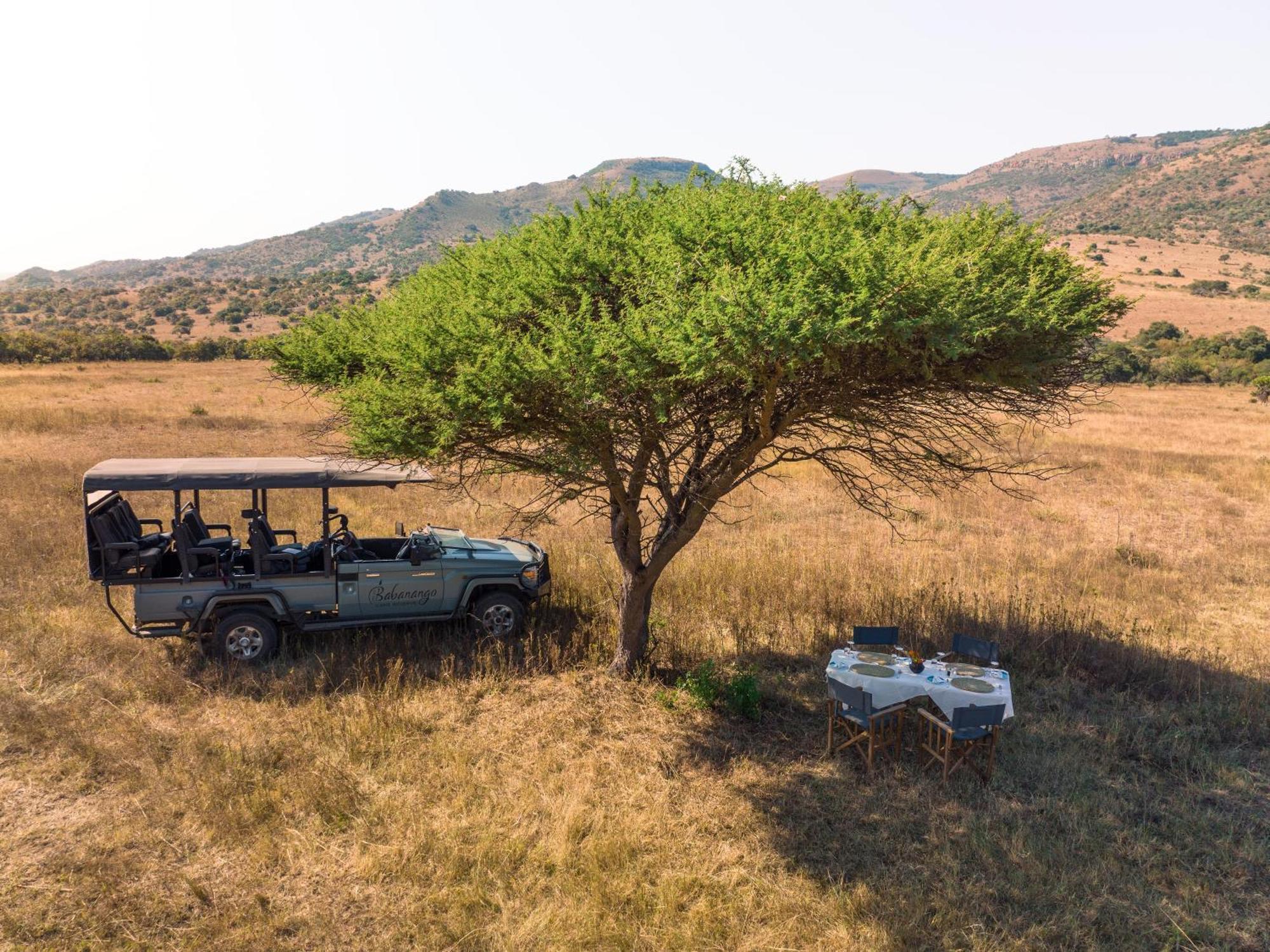 Valley Lodge - Babanango Game Reserve ダンディー エクステリア 写真