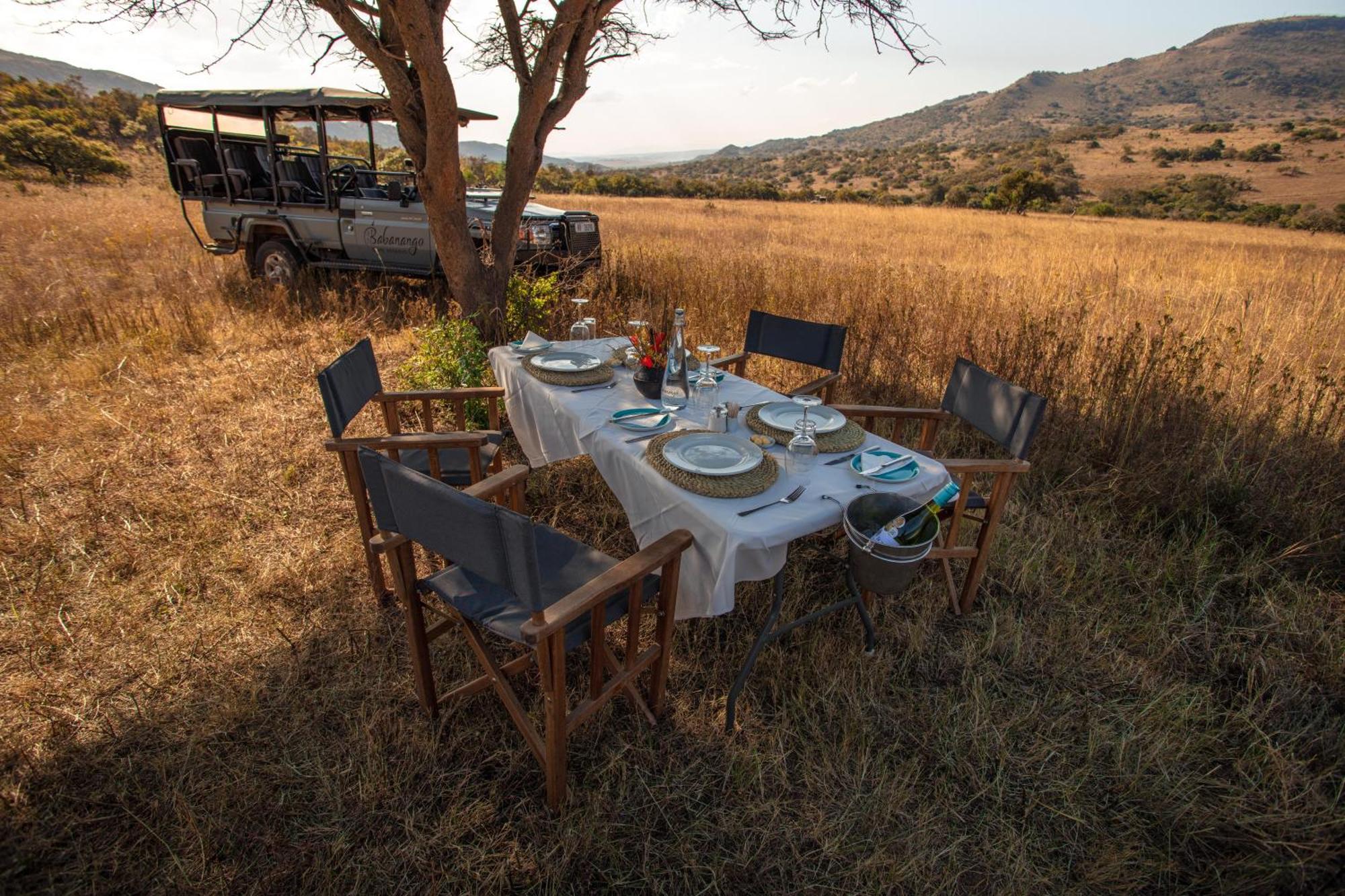 Valley Lodge - Babanango Game Reserve ダンディー エクステリア 写真